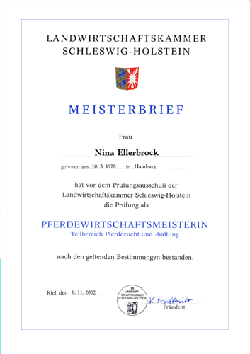 Meisterbrief f�r Nina M. Ellerbrock